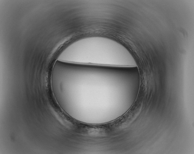 X0000113750400200909231010