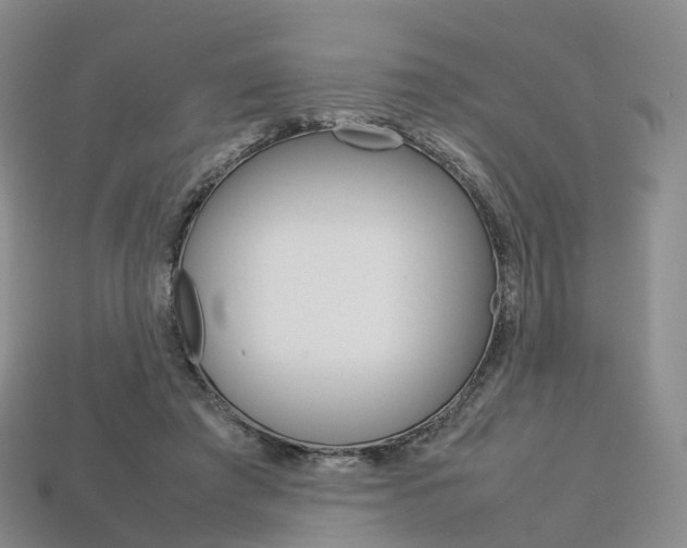 X0000113750401200909231010
