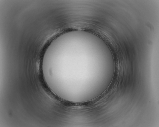 X0000113750404200909231010
