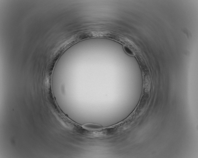 X0000113750405200909231010
