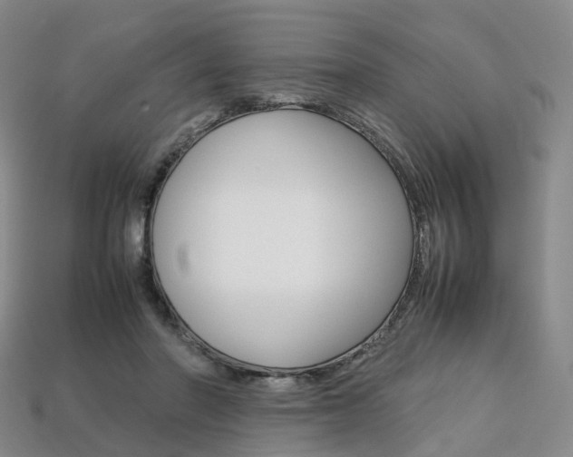 X0000113750406200909231010