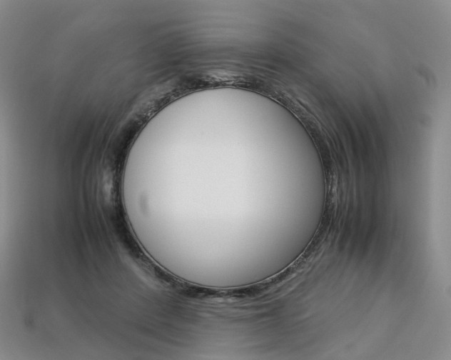 X0000113750408200909231010