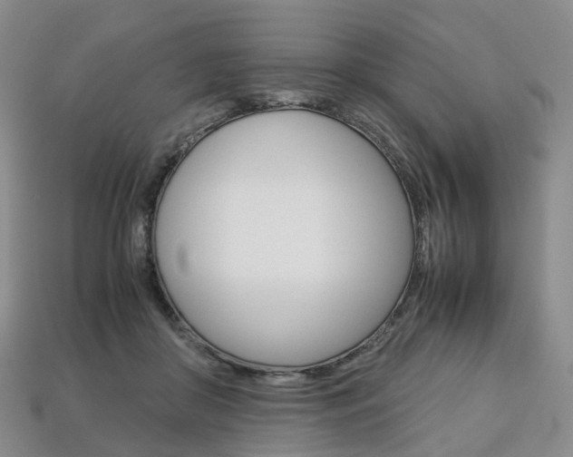 X0000113750410200909231010