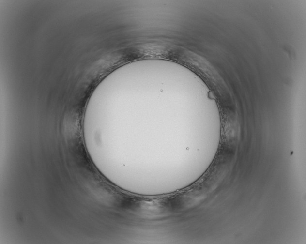 X0000113750411200909231010