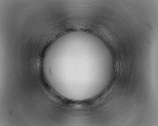 X0000113750412200909231010