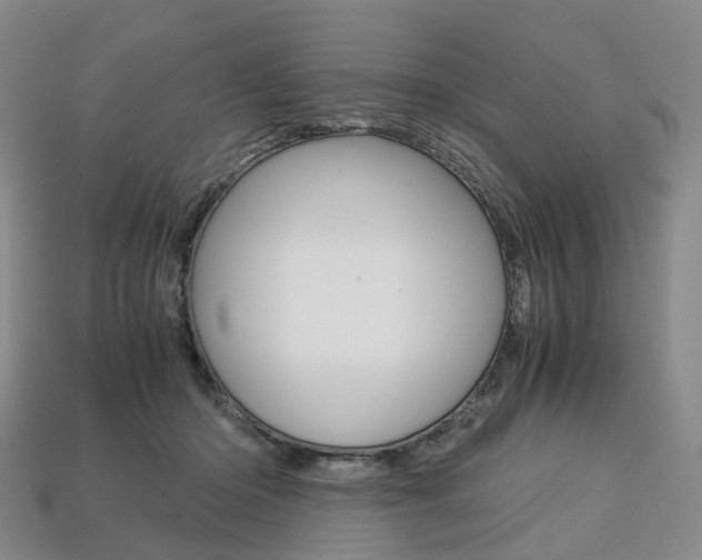 X0000113750414200909231010