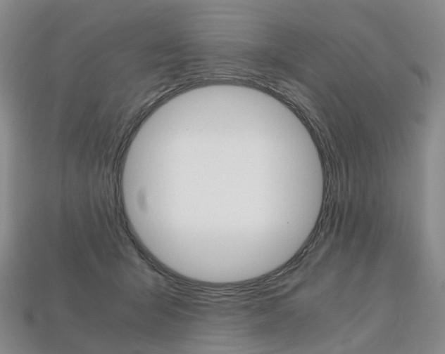 X0000113750415200909231010