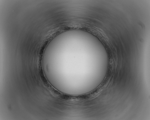 X0000113750416200909231009