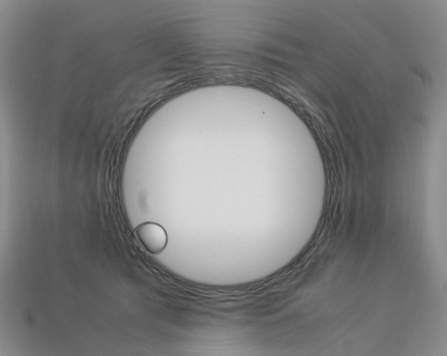 X0000113750417200909231009