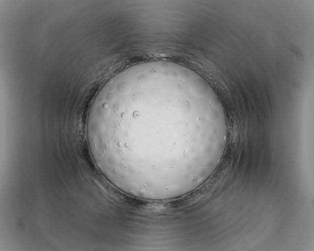 X0000113750418200909231009