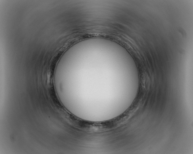 X0000113750420200909231009
