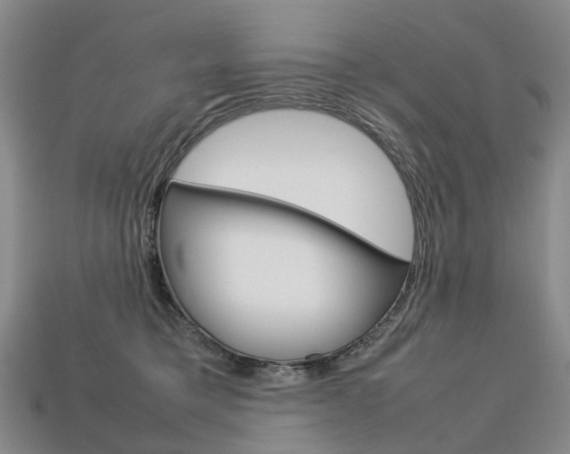 X0000113750421200909231009