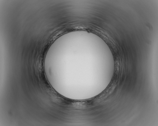 X0000113750422200909231009