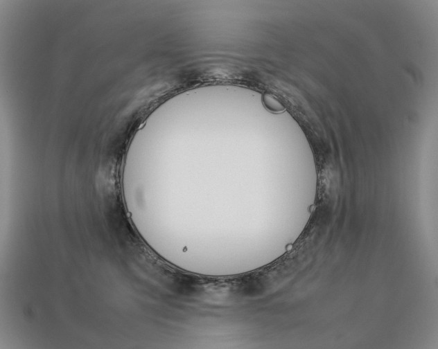 X0000113750423200909231009