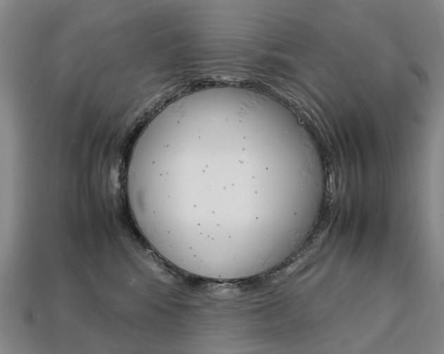 X0000113750424200909231009