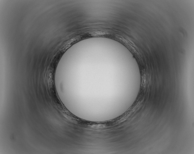 X0000113750426200909231009