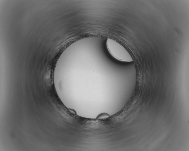 X0000113750428200909231009