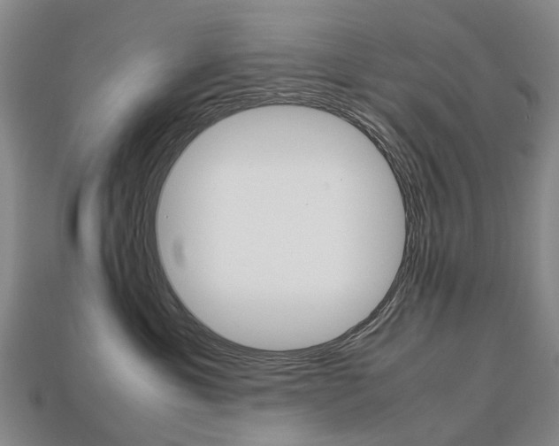 X0000113750429200909231009