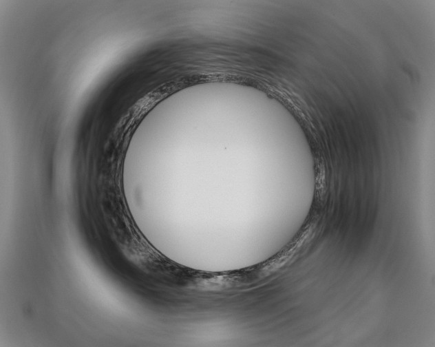 X0000113750430200909231009