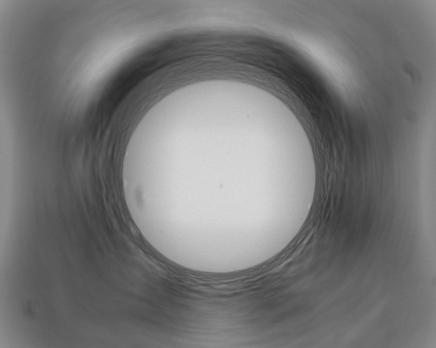X0000113750431200909231009