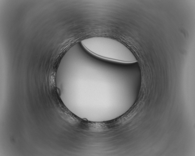X0000113750432200909231009