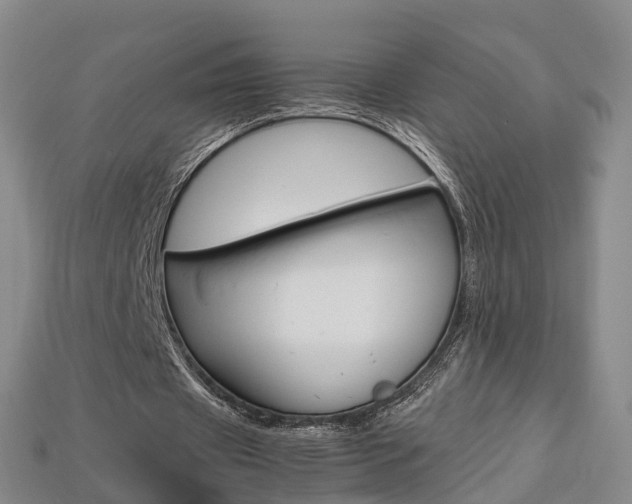 X0000113750433200909231009
