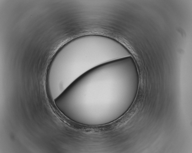 X0000113750434200909231009