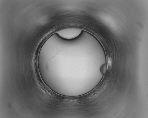 X0000113750435200909231009