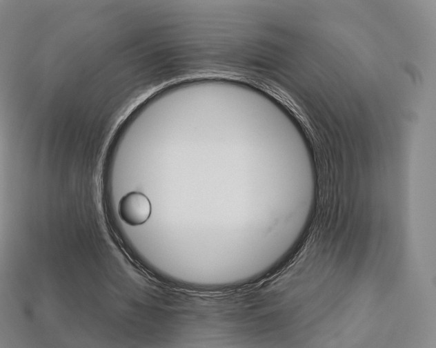 X0000113750436200909231009
