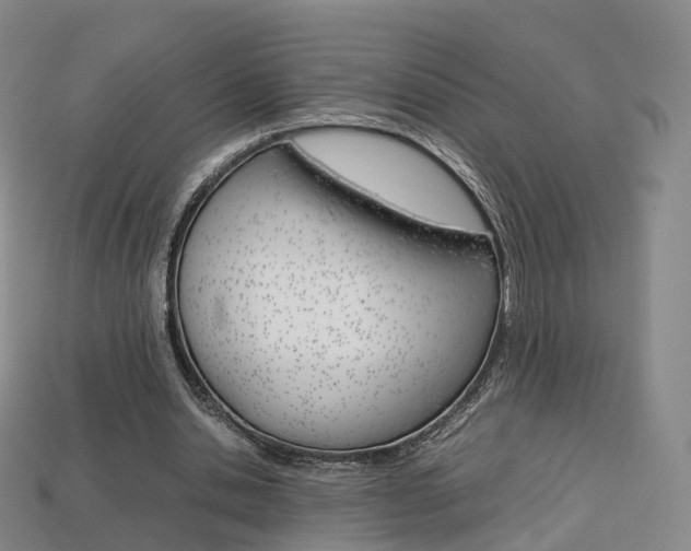 X0000113750438200909231009