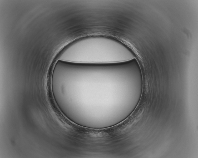 X0000113750439200909231009