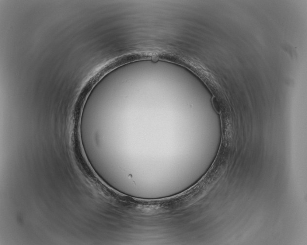 X0000113750440200909231009