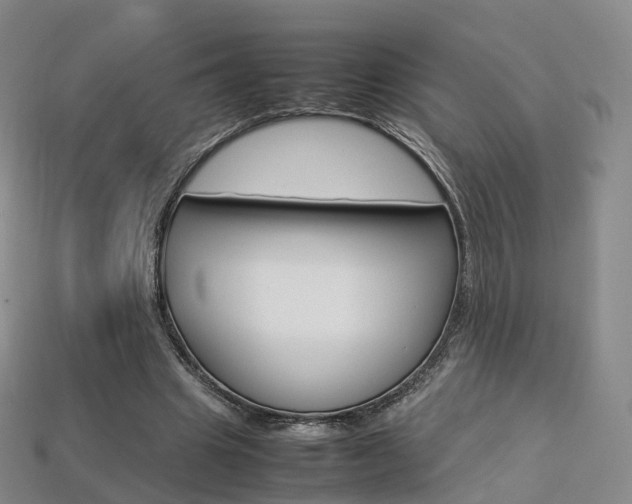 X0000113750441200909231009
