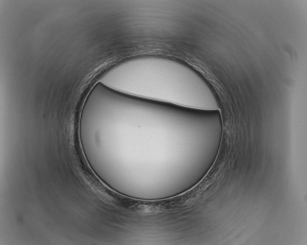 X0000113750442200909231009