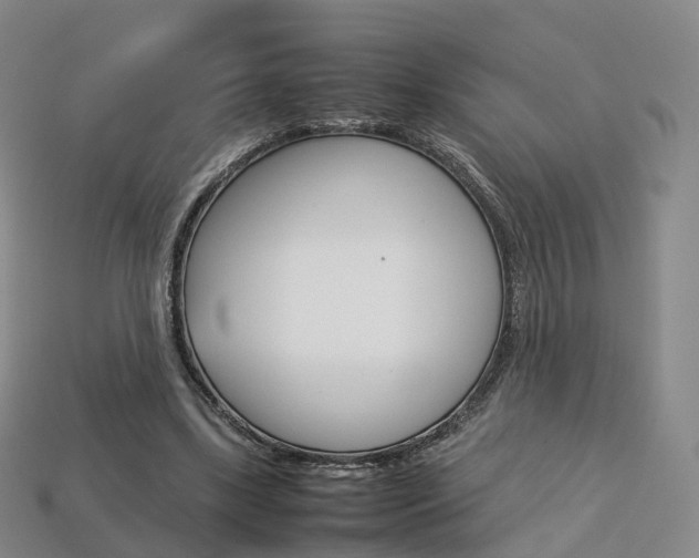 X0000113750443200909231009
