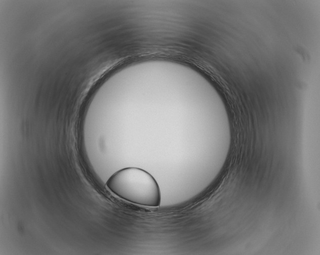 X0000113750444200909231009