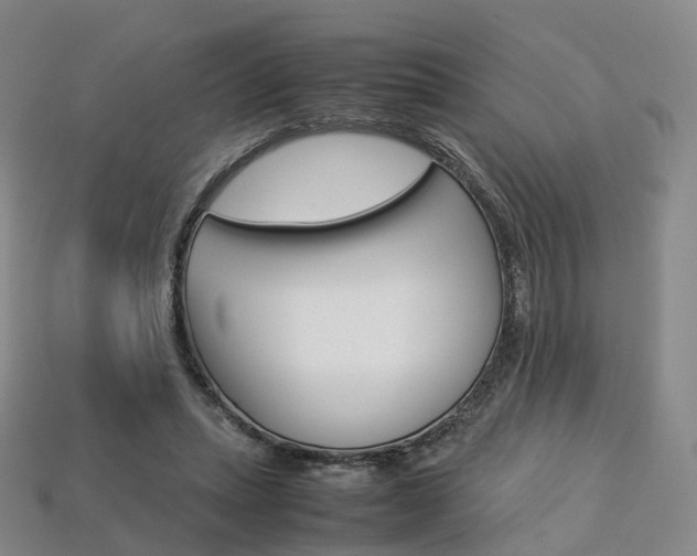 X0000113750447200909231009