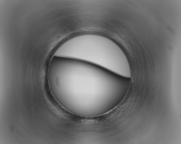 X0000113750448200909231009
