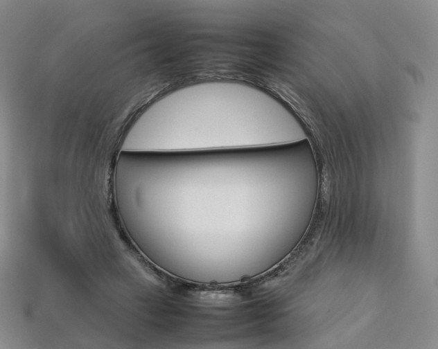 X0000113750449200909231009