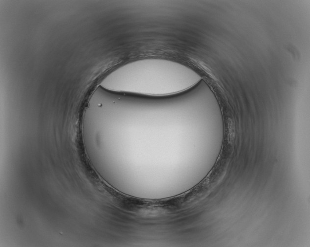 X0000113750451200909231009