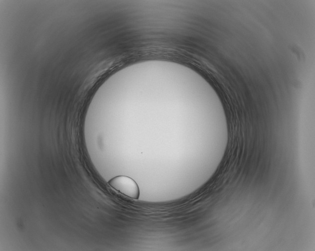 X0000113750452200909231009