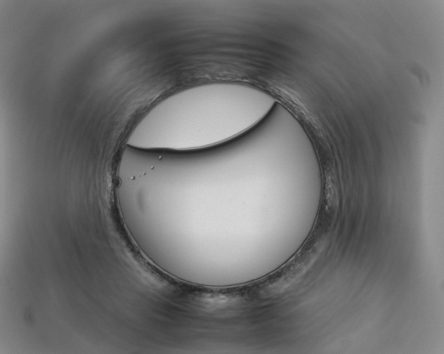 X0000113750453200909231009