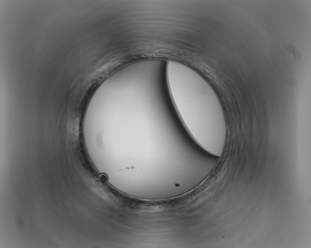 X0000113750454200909231009