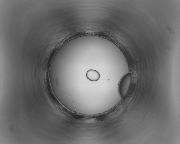 X0000113750456200909231009