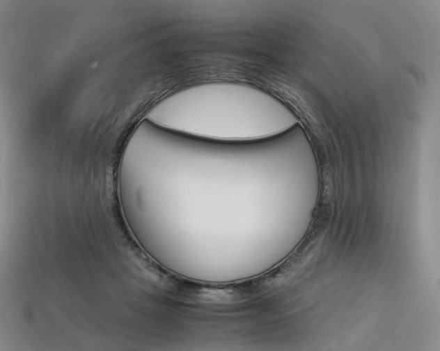 X0000113750457200909231009