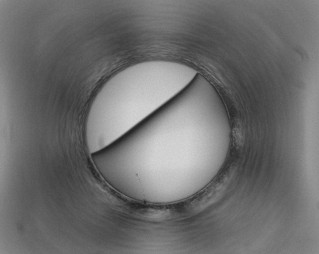 X0000113750458200909231009