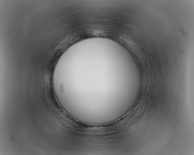 X0000113750461200909231009