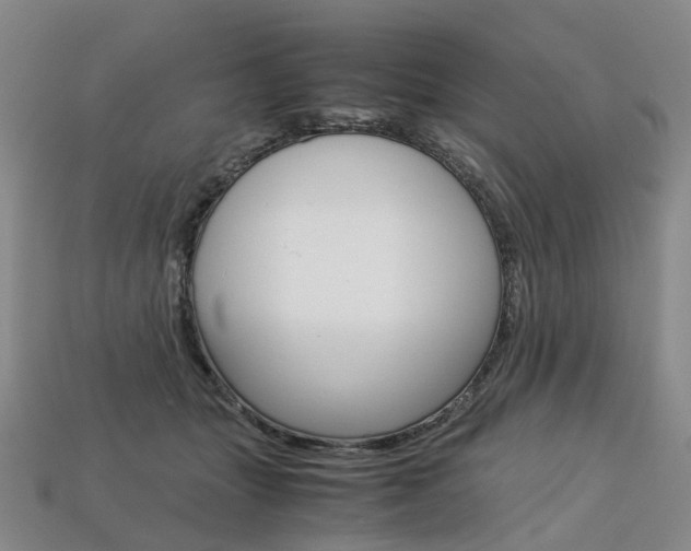 X0000113750463200909231009