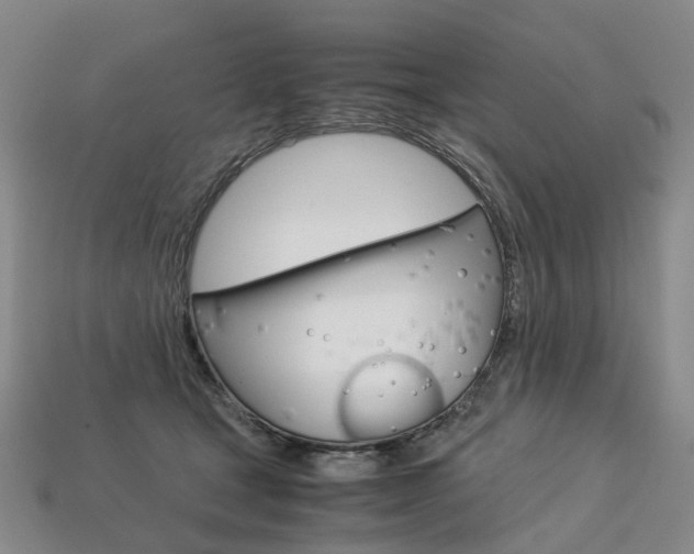 X0000113750465200909231009