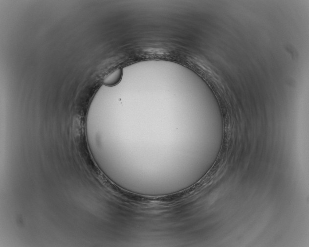 X0000113750467200909231009